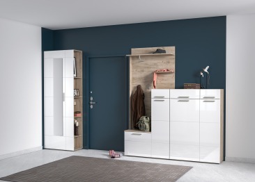 Шкаф многоцелевого назначения Лайн 10.16 Н