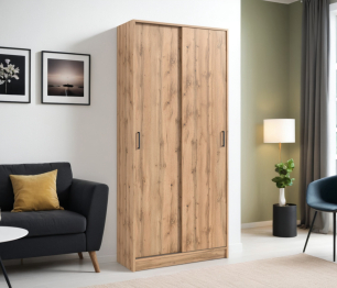 Шкаф-купе 2-х дверный Терра СБ-2545