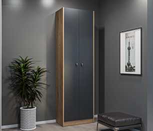 Шкаф 2 дверный Сидней СБ-2588 Дуб дикий/Диамант серый